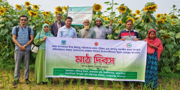 বাকৃবির গবেষণায় এক জমিতে তিন ফসল, চরাঞ্চলের কৃষকের মুখে হাসি